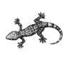 Gecko