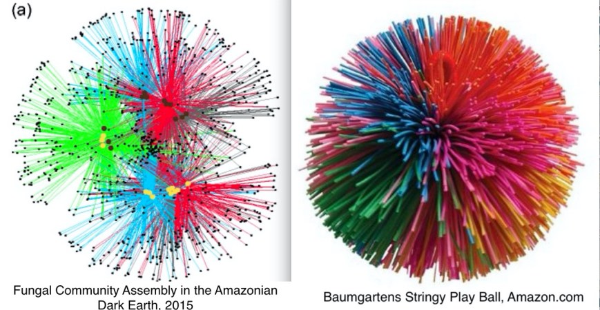 Screen Shot 2015-11-20 at 10.13AM, Nov 20