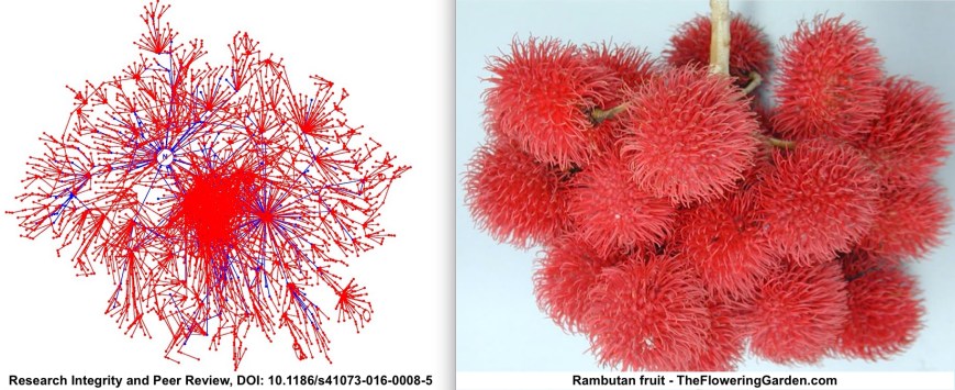Citation Network May 2016.jpg