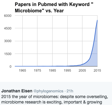 Screen Shot 2016-01-01 at 2.11.23 PM