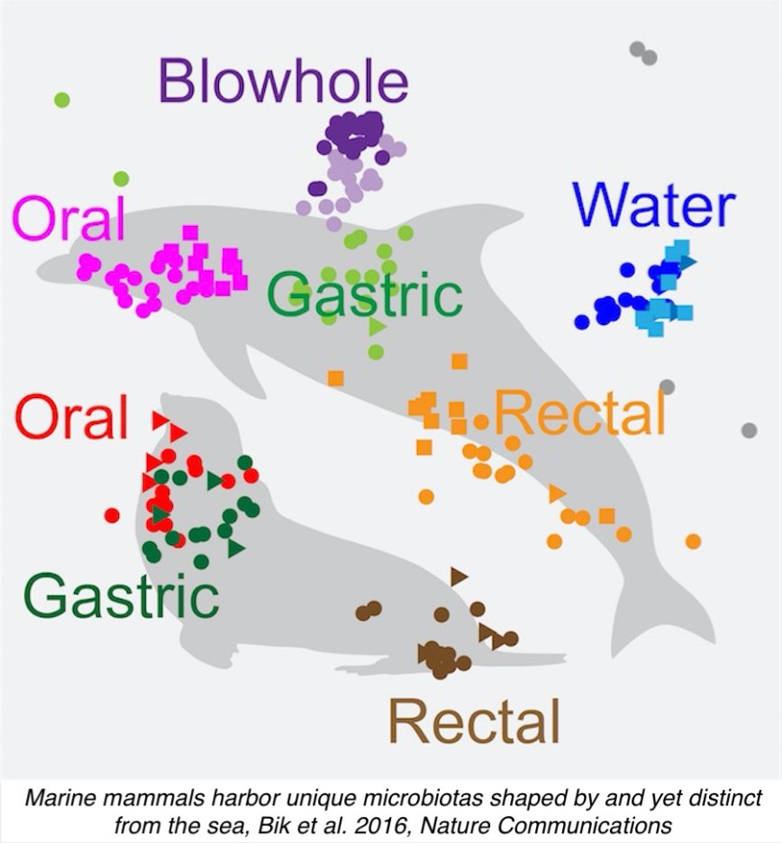 Screen Shot 2016-02-03 at 03.17PM, Feb 03