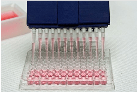 Screenshot 2016-03-12 at 20.43.17