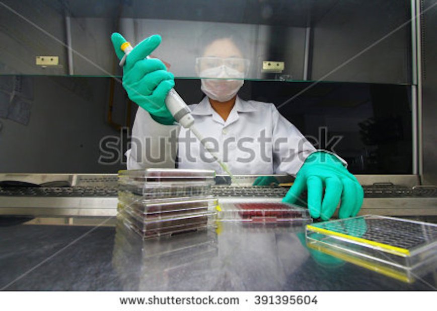 stock-photo-young-asian-scientist-pipetting-samples-in-lab-391395604.jpg