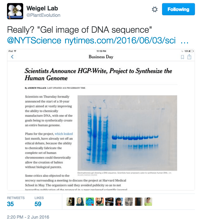 Screen Shot 2016-06-03 at 11.30AM, Jun 03.png