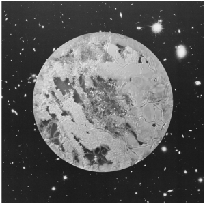 Screen Shot 2016-07-01 at 10.37.50 PM