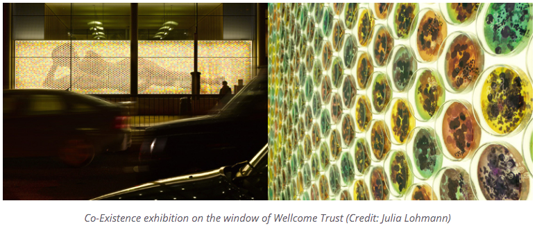 Screen Shot 2016-07-01 at 10.45.14 PM.png