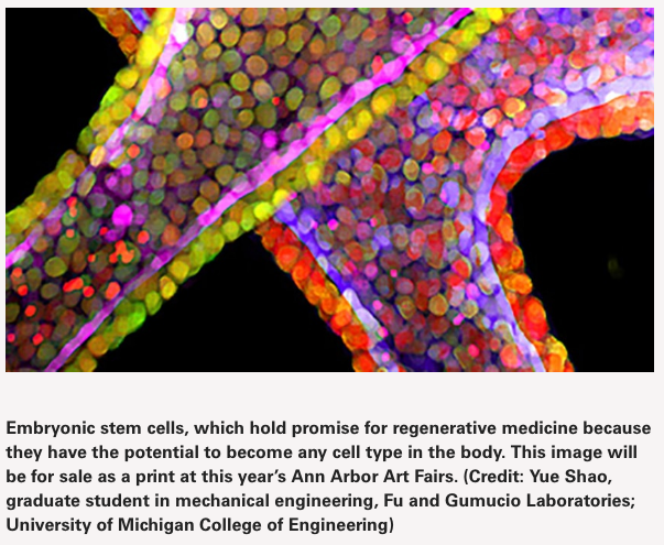 Screen Shot 2016-07-27 at 10.06.23 PM.png