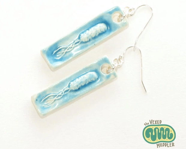 Screen Shot 2016-07-27 at 10.20.30 PM.png