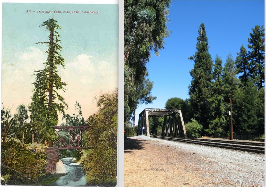 Screen Shot 2016-08-05 at 2.27.41 AM