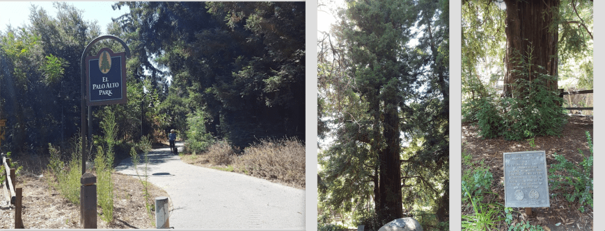 Screen Shot 2016-08-05 at 2.34.14 AM