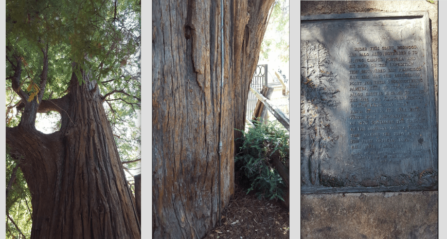 Screen Shot 2016-08-05 at 2.42.12 AM.png