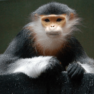 Screen Shot 2016-08-30 at 11.07.12 PM