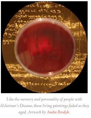 Screenshot 2016-08-14 at 17.33.19.png