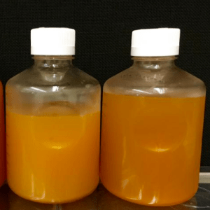 Screen Shot 2016-09-05 at 2.12.43 PM