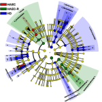 screen-shot-2016-09-08-at-7-35-07-am