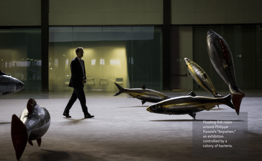 Screen Shot 2016-11-20 at 10.36.20 AM.png