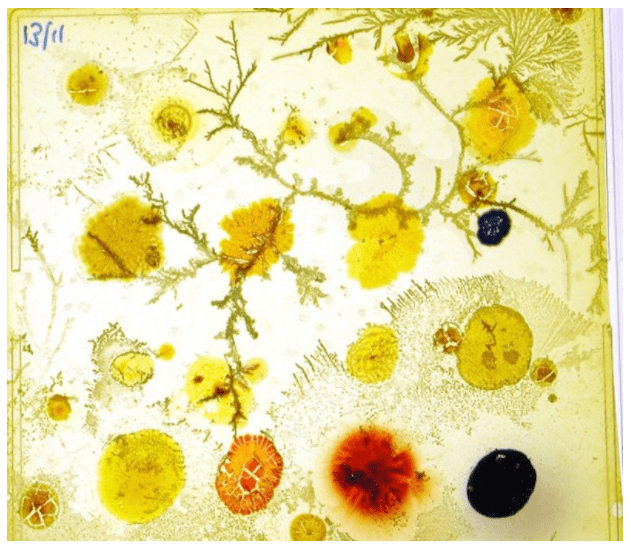 Screen Shot 2016-11-20 at 10.53.45 AM.png