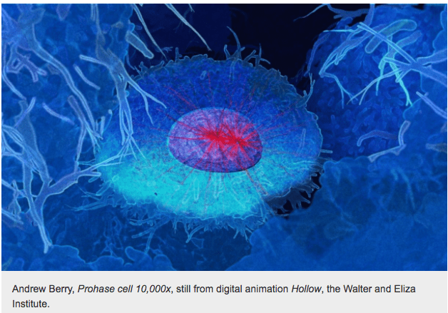 Screen Shot 2016-12-04 at 10.45.10 AM.png