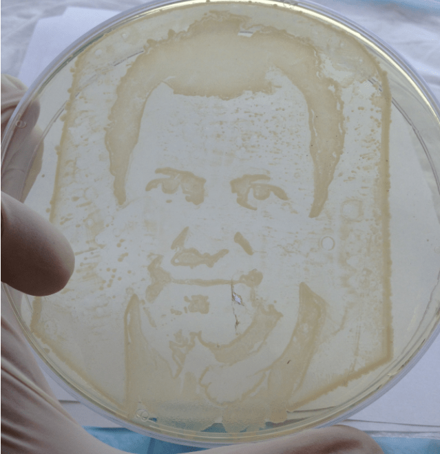 Screen Shot 2016-12-04 at 11.10.01 AM.png