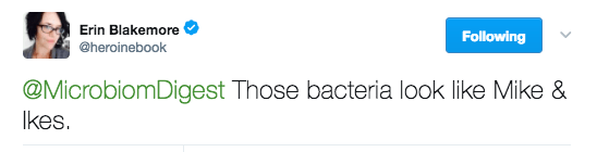 Screen Shot 2017-03-23 at 9.28.54 PM.png