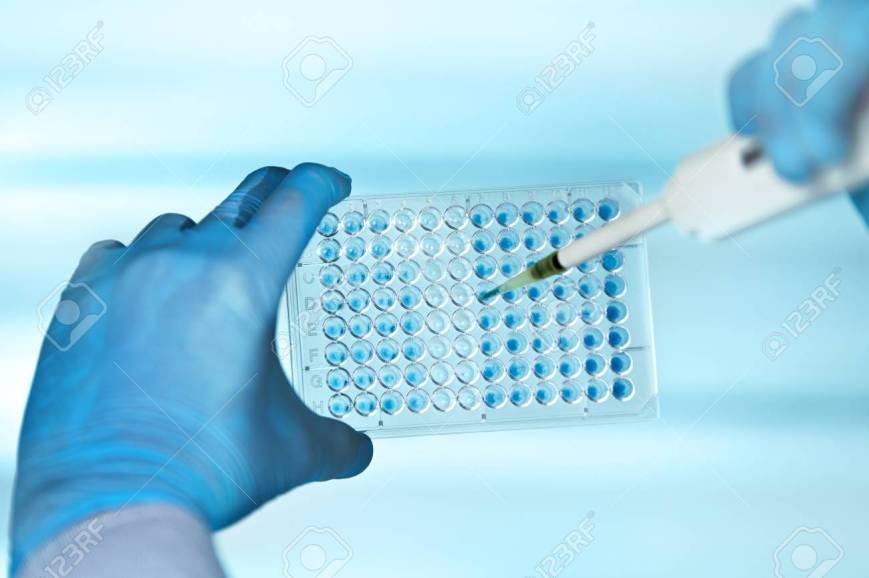 89630079-hands-of-scientist-in-the-biochemical-lab-with-pipette-and-multiwells-plate-technician-pipetting-pla (2).jpg