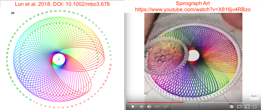 Spirograph Art.png